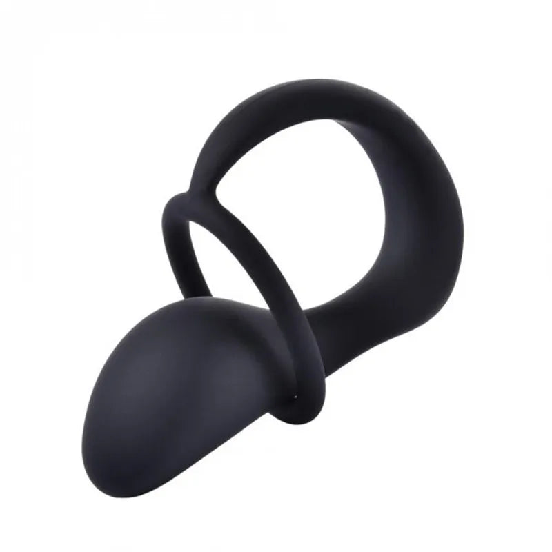 Penis ring with vibration anal plug